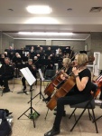 Cellos_1.jpg