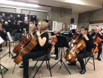 Cellos_2.jpg